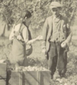 Powiększony detal poprzedniego zdjęcia. Fot Janusz Przybylski.